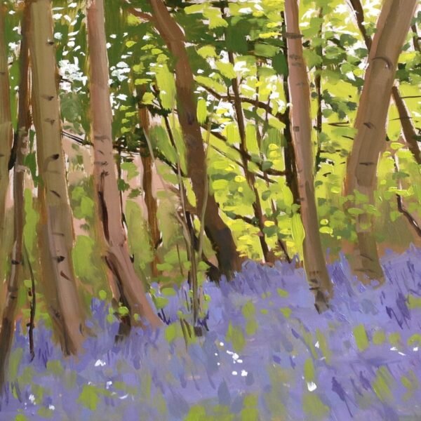 Bluebells, Overstrand