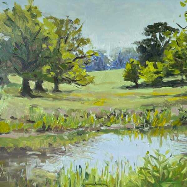 Kimberley Park from River Tiffey by Tanya Pawsey