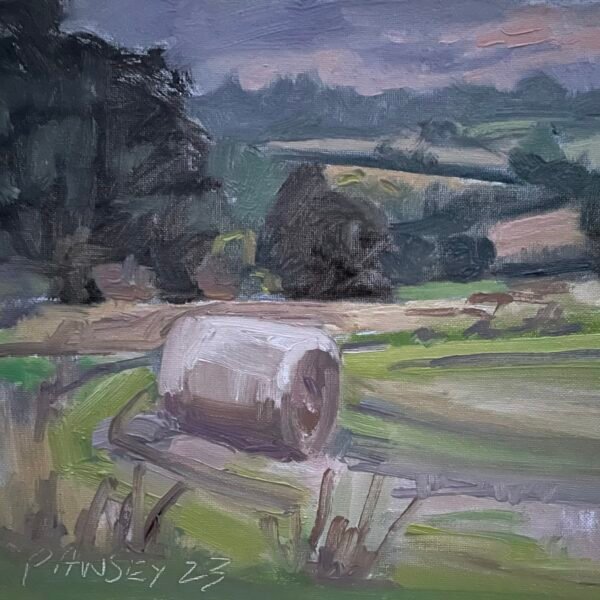 Cavick Farm, Evening