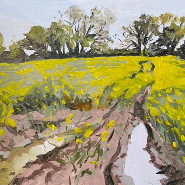 Oilseed Rape off Deep Lane, Wymondham by Tanya Pawsey