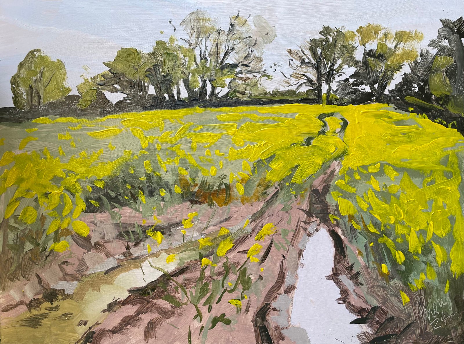 Oilseed Rape off Deep Lane, Wymondham by Tanya Pawsey