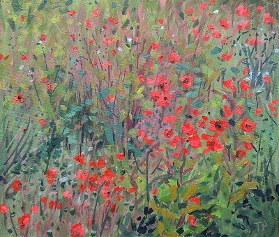 Poppies