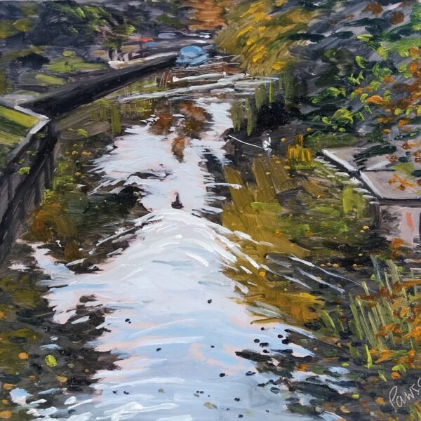 Swans from Bishop's Bridge