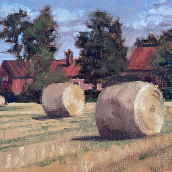 While the Sun Shines